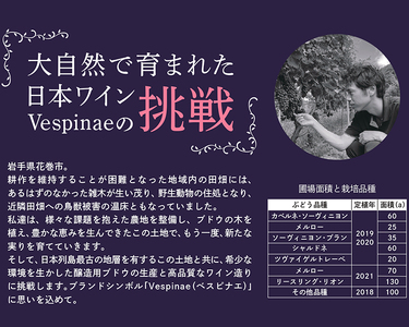 Vespinae（ベスピナエ）  2022 岩手ルージュ 750ml×1本　【1969】