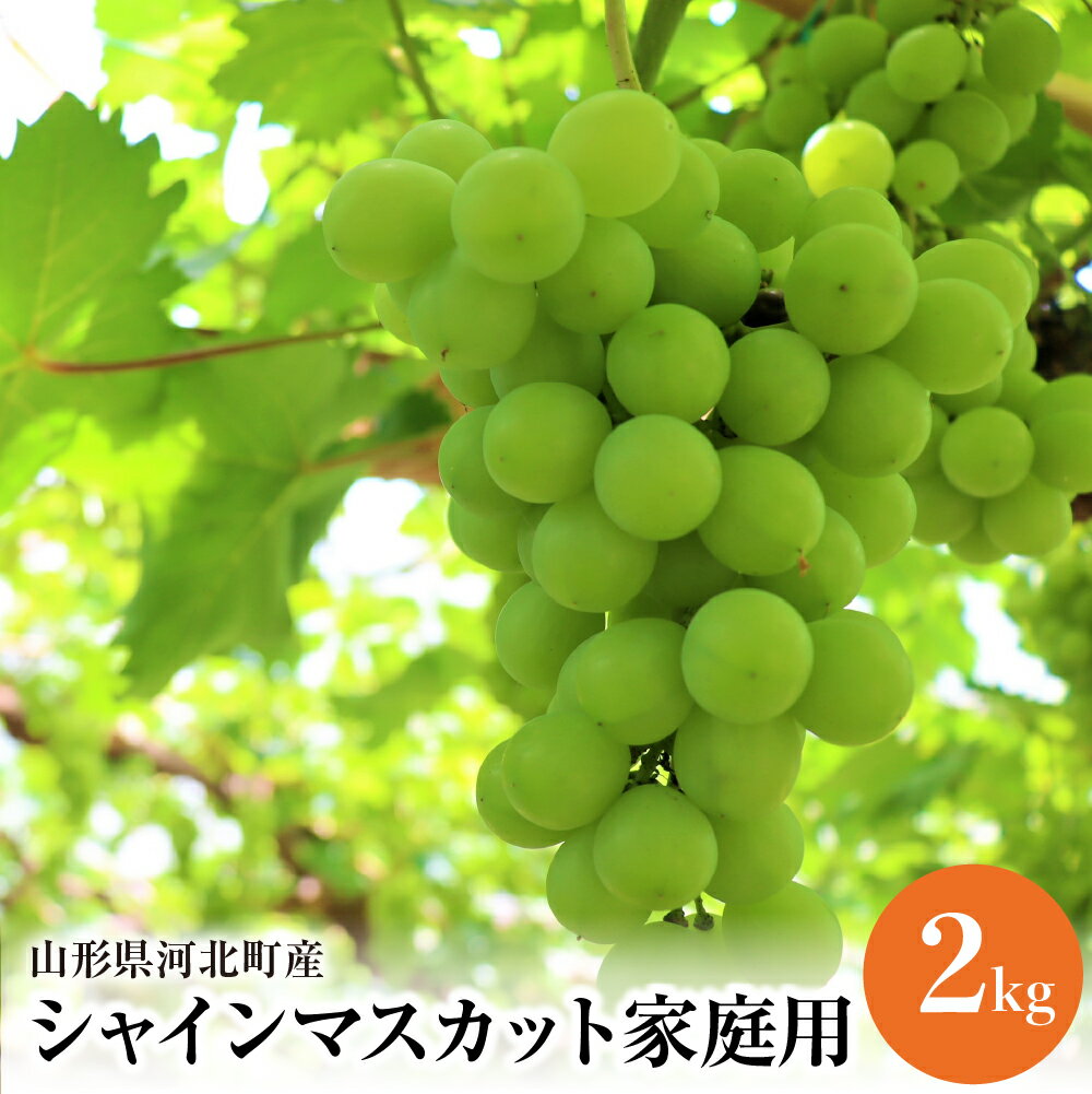 【ふるさと納税】【令和7年産】ご家庭用 シャインマスカット 2kg 国産 マスカット 緑 ぶどう ブドウ 葡萄 常温便 フルーツ 果物 果肉 青果 お取り寄せ 東北 山形県 河北町 【JAさがえ西村山】