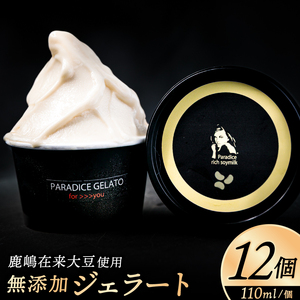 農家が作る自然栽培・無添加ジェラート12個【鹿嶋市 茨城 かしま 送料無料 フルーティー ナチュラル 無添加 オーガニック 豆乳 アイス 麹 甘酒 冷夏 デザート スイーツ おいしい 贈答 ギフト プ