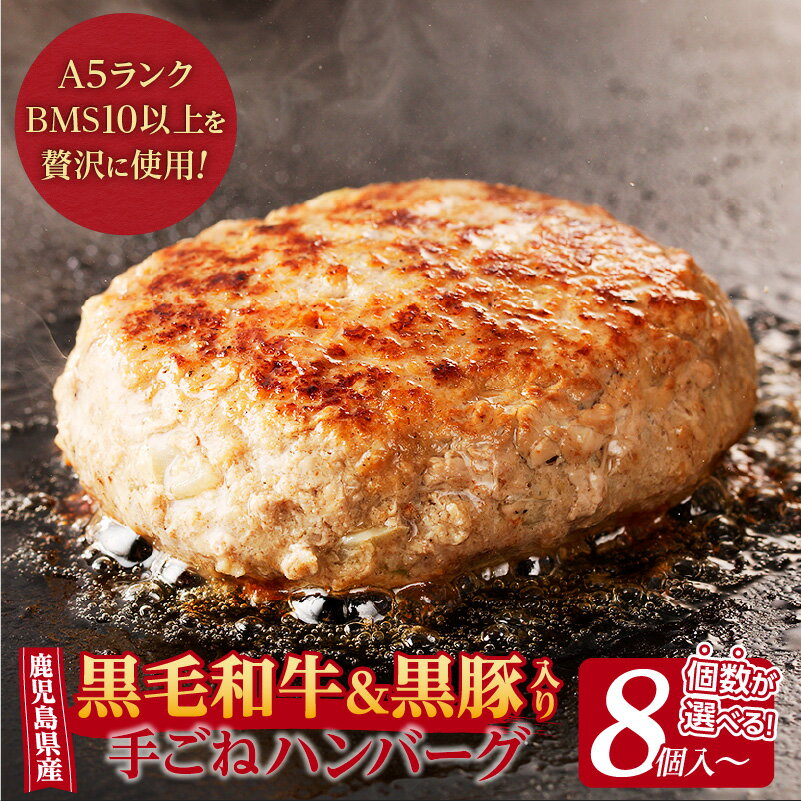 【ふるさと納税】＜個数が選べる！＞【 肉旅 】 鹿児島県産 黒毛和牛 ＆ 黒豚 入り 手ごねハンバーグ 送料無料 A5 ランク ハンバーグ 手ごね 真空 パック 保存料 着色料 不使用 惣菜 小分け 選べる 肉旅 九州電算 肉のツツミ 鹿児島市 土産 贈り物 プレゼント ギフト 贈答