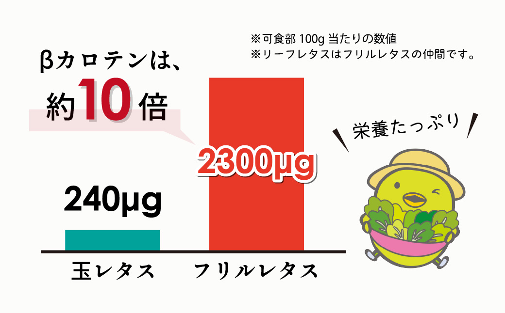 ＜洗わず食べられる・室内水耕栽培＞ フリルレタス 4袋(80～110g/袋) | レタス 洗わずに食べられる 新鮮レタス オーガニック野菜 無農薬 野菜直送 フレッシュ サラダ用野菜 健康志向 こだわ