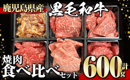 
鹿児島県産黒毛和牛 焼肉食べ比べセット(600g) 黒毛和牛 和牛 牛肉【1129】A359-v01
