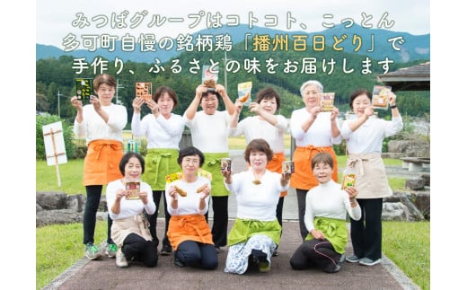 さくら とりめしの具 ２合用 常温 レトルト 播州百日どり 鶏めし 鶏飯 混ぜご飯 簡単 五つ星ひょうご[132]
