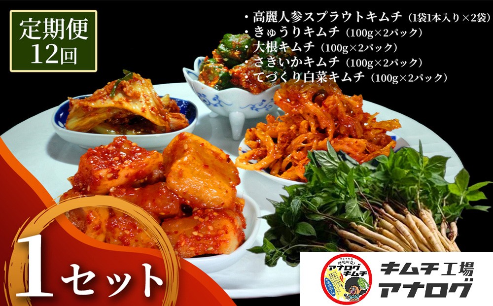 
                  【12カ月定期便】5種の本格キムチ食べ比べ 4種のキムチ(各100g×2パック)＋スプラウトキムチ(1本入り×2袋)【熟成秘伝 きゅうり 大根 カクテキ さきいか 白菜 キムチセット 国産 手づくり 発酵食品 ご飯のお供 詰め合わせ 九州産 手作り】(H104269)
                