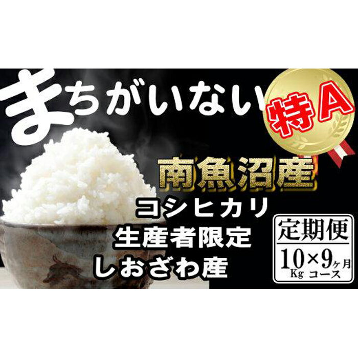 【ふるさと納税】【令和7年産】米 定期便 コシヒカリ 南魚沼しおざわ産 90kg ( 10kg × 9ヶ月 ) 契約栽培【2025年10月上旬より順次発送予定】 | お米 こめ 白米 コシヒカリ 食品 人気 おすすめ 送料無料 魚沼 南魚沼 南魚沼市 新潟県産 新潟県