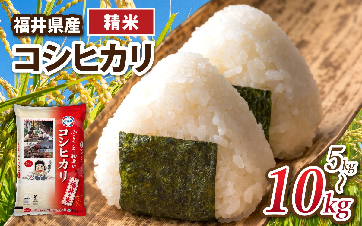 
                  【選べる容量】令和7年産 福井県産コシヒカリ【精米】 / 米 こめ お米 コメ ごはん ご飯 飯 七年 7年産 5kg 10kg 1袋 2袋 精米 白米 単一米 ブランド [A-014020-oya]
                
