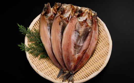 にしん一夜干し 【 ふるさと納税 人気 おすすめ ランキング にしん  干物 一夜干し 3枚 開き 魚 北海道産 お手軽 簡単 おかず 冷凍 絶品 贈答 ギフト 贈り物 家庭用 オホーツク 北海道 網走市 送料無料 】 ABE088