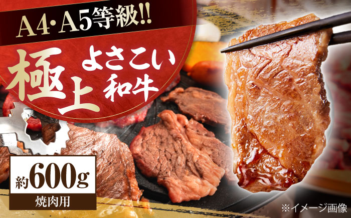 高知県産 よさこい和牛 焼肉用 約600g 牛肉 国産 焼き肉 BBQ A4 A5 【(有)山重食肉】 [ATAP063]