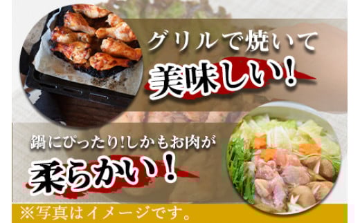 ＜【2025年9月発送】万能手羽塩こうじ漬け 8kg（1kg×8袋）＞