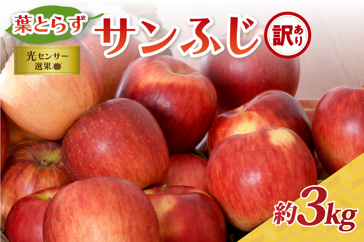 
            【訳あり】〈 糖度 13度 以上〉葉とらず サンふじ りんご 約 3kg 光センサー選果 【 青森 葉とらずふじ 11月 12月 1月 2月 3月 配送 【選べる配送時期】 】
          