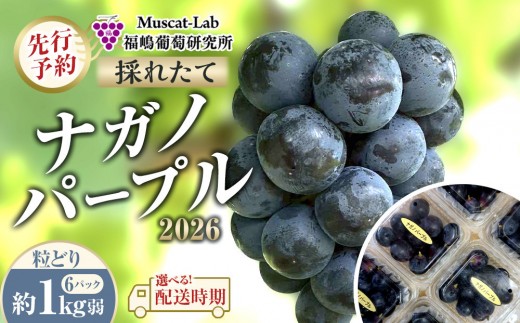 【先行予約】 B 2026 P ナガノパープル粒どり6パック 約1kg弱  (2026年10月初旬頃～順次発送予定）長野県産 　国際特許有機肥料栽培