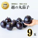 【ふるさと納税】【先行予約】特選 『越の丸茄子』 特級Aクラス 特大サイズ 1箱9玉入 高級ブランド茄子 ブランド野菜 特産品 産地直送 なす まるなす ナス 茄子 人気の丸茄子 新潟限定 糸魚川限定 新潟 糸魚川 ギフト 贈り物に お中元 今年の夏の逸品