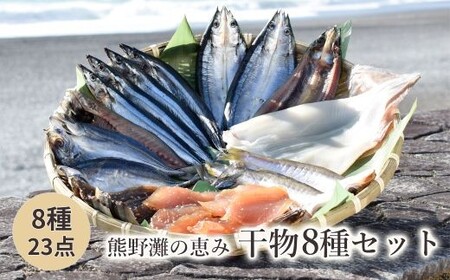 干物 詰め合わせ 8種 23点 食べ比べ 松屋水産 干物【mtys0003】