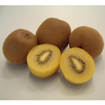 ふるさと納税 三豊市 【発送月固定定期便】三豊市を家族で味わう定番フルーツ全12回 |  | 03