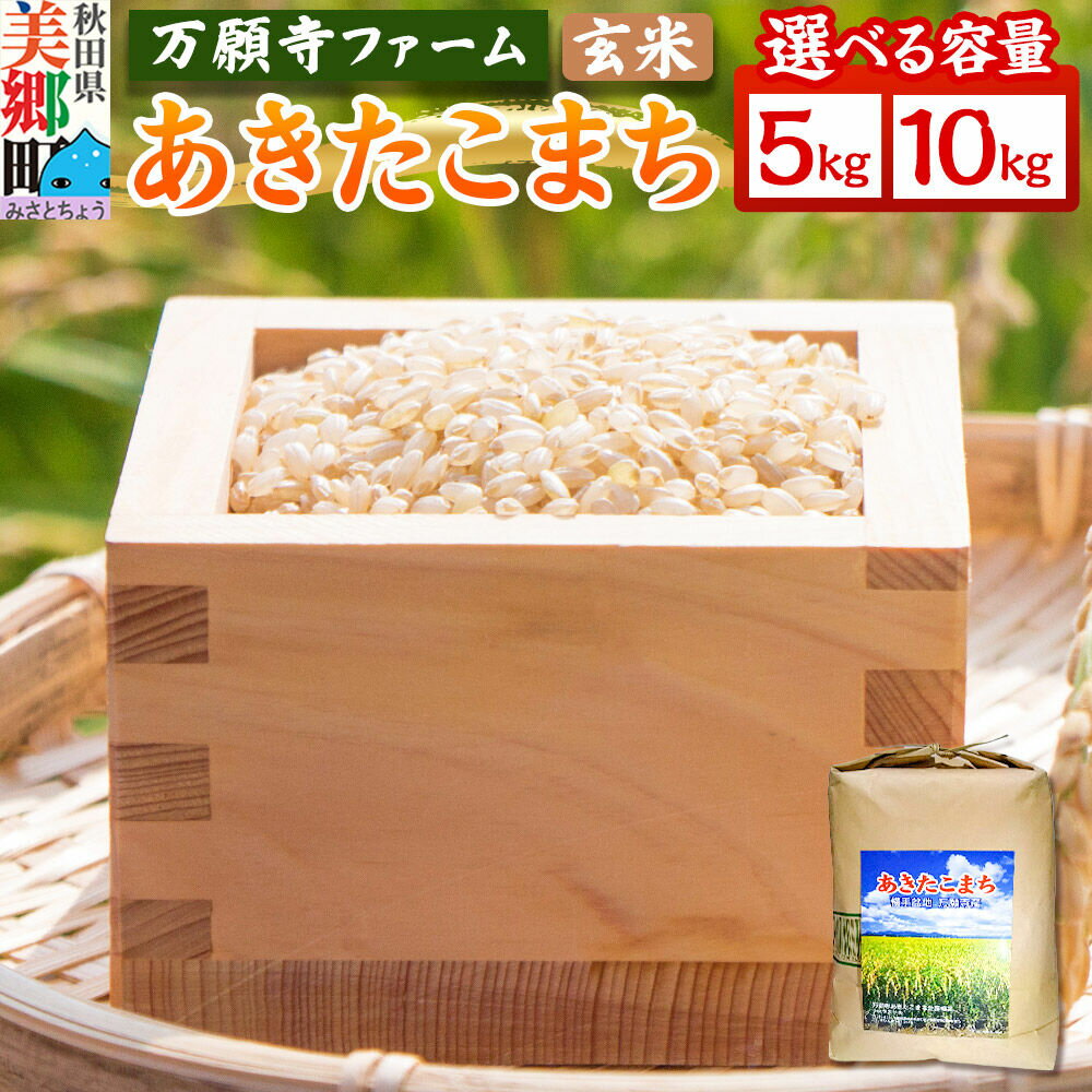 【ふるさと納税】米 万願寺産 令和7年産 あきたこまち 玄米 【選べる容量 5kg・10kg】 秋田県産 [あきたこまち 秋田こまち 秋田県産 玄米]