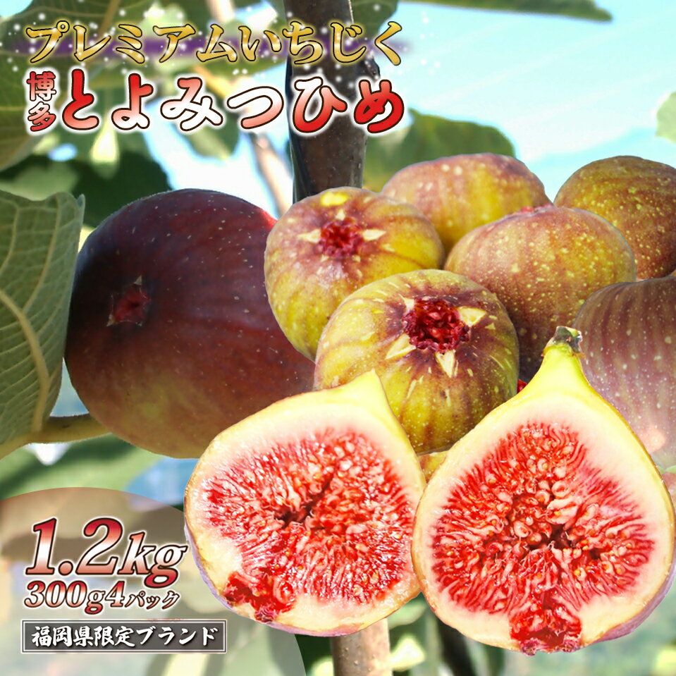【ふるさと納税】【先行予約】福岡県産 とよみつひめ 計約1.2kg 約300g×4パック いちじく イチジク 無花果 生いちじく フルーツ くだもの 果物 旬 デザート 高糖度 おやつ 冷蔵 福岡県 福津市 国産 送料無料 【2026年8月より順次発送】 [Z2223]