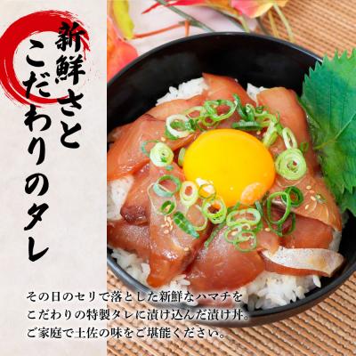 ふるさと納税 田野町 これが魚屋の漬け丼だ! 〜ハマチ〜 80g×5P ★訳あり★ |  | 01