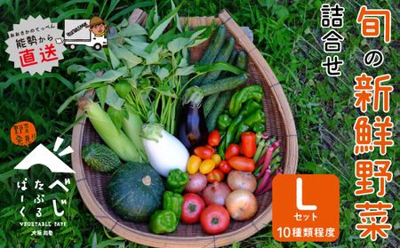 【大阪能勢産】 《農家直送》 べじたぶるぱーくの旬の新鮮野菜詰合せ Lセット (10種類)