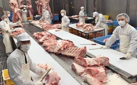カレー、シチューにぴったりな牛スジです 栃木県産 厳選下野牛！肉スジ 約600g 国産 ブランド牛 牛肉 肉 牛筋 牛スジ 牛すじ カレー 煮込み 調理 食品 冷凍 贈答 贈り物 ギフト プレゼント 