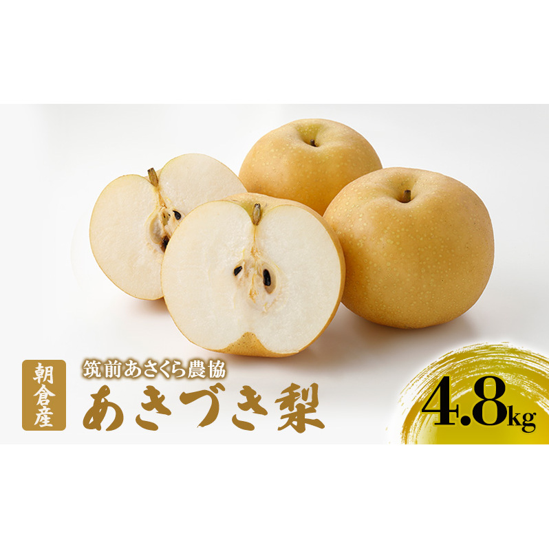 梨 朝倉産 あきづき梨 4.8kg（10～16玉入） ナシ フルーツ 果物 くだもの 筑前あさくら農協 ※配送不可：北海道、沖縄、離島