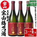 【ふるさと納税】＜本数選べる＞宝山梅乃酒 三年熟成(720ml×3～4本)！ 梅酒 酒 アルコール 家飲み 宅飲み 梅 国産 常温 常温保存【西酒造】