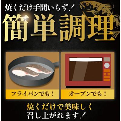 ふるさと納税 藤沢市 銀鮭 西京漬け　約1kg(約100g×10切) |  | 02