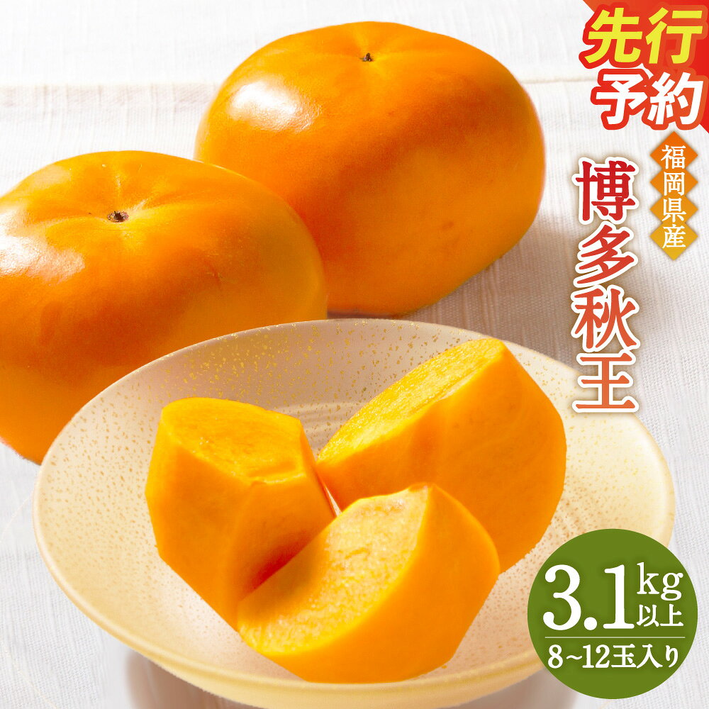 【ふるさと納税】【優等品】福岡県産 博多秋王 3.1kg以上 8玉～12玉入り 福岡県 岡垣町 柿 カキ フルーツ 果物 冷蔵 お取り寄せ 特産品 ご当地 先行予約 送料無料 【2026年10月上旬～11月下旬発送予定】
