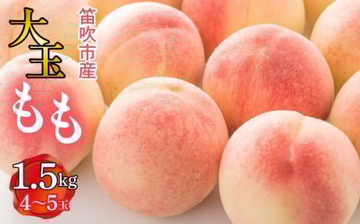 ＜25年発送先行予約＞笛吹市産　大玉もも　1.5kg(4～5玉)  227-007