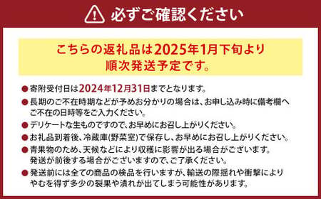 にべさんちの苺 熊本県産イチゴ空音(そらね)極み 【2025年1月下旬発送開始】