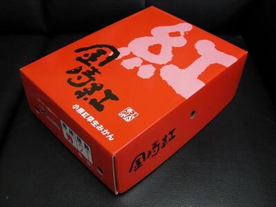 坂出市産 金時紅みかん 約2.5kg(21~30玉入り) 化粧箱入り