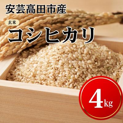 ふるさと納税 安芸高田市 米 令和7年産　安芸高田市産コシヒカリ『玄米』 4kg  [No5895-0253]