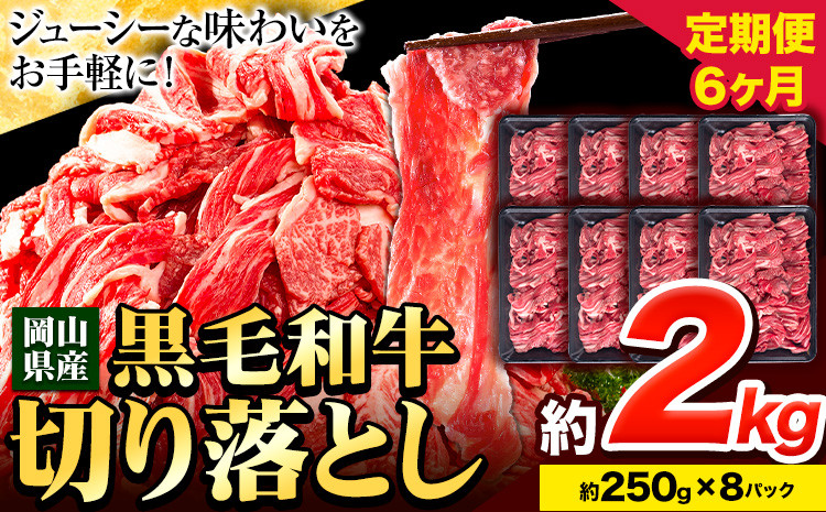 
            牛肉【6ヶ月定期便】 肉 黒毛和牛 切り落とし 訳あり 大容量 小分け 2kg 1パック 250g 定期便《お申込み月翌月から出荷開始》岡山県産 岡山県 笠岡市 お肉 にく カレー 牛丼 切り落し 切落し
          