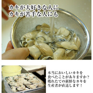 米田海産の広島かき むき身 1.5kg (0.5kg×3袋)【加熱調理用】（2026年12月より順次発送）