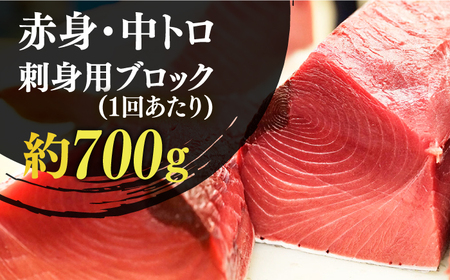 【全3回定期便】【ながさき水産業大賞受賞！！】五島列島産 養殖 生本かみまぐろ 赤身 中トロ ブロック 計約700g【カミティバリュー】[RBP067]