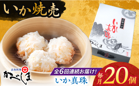 【全6回定期便】かべしまのいか焼売いか真珠20個入り【呼子かべしま直売所】HCL039 いかしゅうまい焼売イカしゅうまいイカイカ焼売