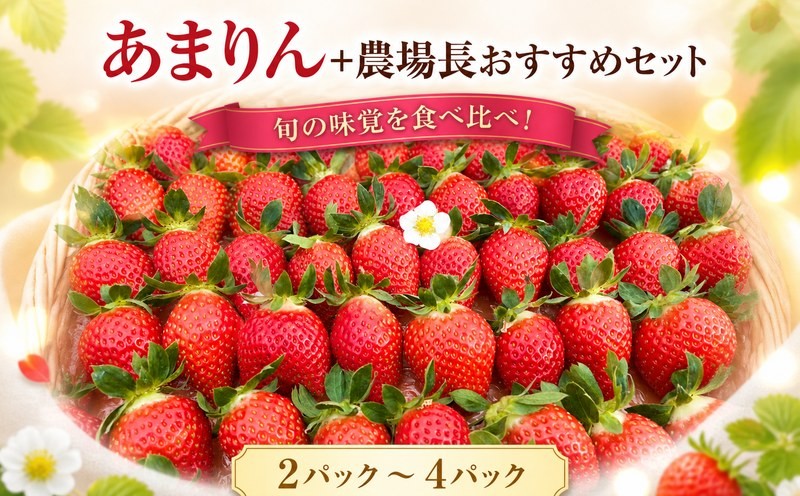 
                  【先行予約】いちご あまりん + 農場長おすすめ品種 選べる容量 2パック 4パック 苺 食べ比べ イチゴ ストロベリー 産地直送 ご当地 果物 くだもの フルーツ デザート 食品 冷蔵  strawberry ichigo itigo げんき農場 埼玉県 羽生市
                
