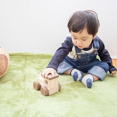 ふるさと納税 いわき市 檜のおもちゃIKONIH オルゴールトレイン |  | 02