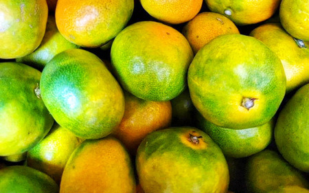 【2025年秋頃発送予約分】＼光センサー選別／ 【農家直送】こだわりの極早生みかん 約10kg 【数量限定】 有機質肥料100% サイズ混合 ※2025年9月下旬より順次発送予定（お届け日指定不可） 