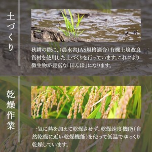 【令和8年産 新米】＜先行予約受付中！R8年9月下旬から順次発送予定＞お米農家直送！ササニシキ 5kg お米 おこめ 米 コメ 白米 ご飯 ごはん おにぎり 宮城米 ささにしき 令和8年産 お弁当 【