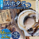 【ふるさと納税】 むつ湾で獲れた活ホタテ Mサイズ 約2.5kg ＋ 天日干し帆立っ子 70gセット【活ほたて本舗】 ホタテ ほたて 帆立 活ホタテ 生ほたて 生ホタテ 刺身 殻付き 海鮮 新鮮 貝 貝柱 おつまみ 酒の肴 魚介 青森県 東北 陸奥湾 BBQ バーベキュー キャンプ F21J-092