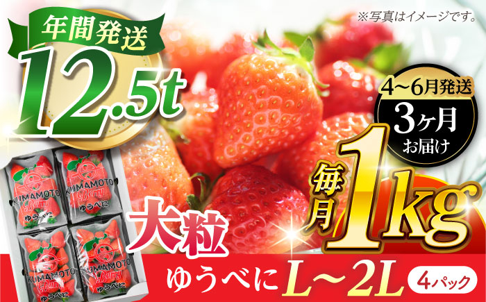 
            《3月より発送開始》 【3回定期便】 大粒いちご L〜2L ゆうべに 1kg（4pc）【熊本ベリー】 [ZER025]
          