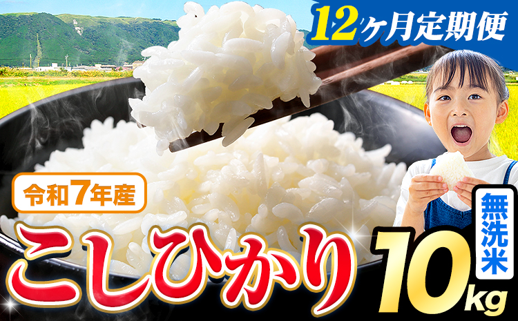 【12ヶ月定期便】令和7年産 米 無洗米 こしひかり 10kg《お申込み翌月から出荷》熊本県産 ふるさと納税 無洗米 ひの 米 こめ ふるさとのうぜい コシヒカリ コメ お米 おこめ---reihoku_loc_458_mo12---