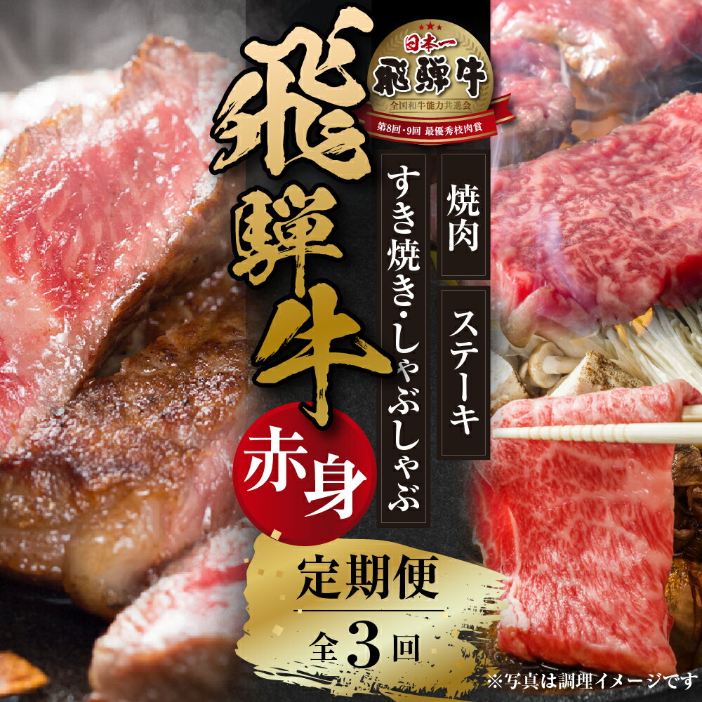 【ふるさと納税】《定期便》全3回 飛騨牛 赤身（ステーキ /焼肉 / すき焼き）[飛騨高山ミート] [MZ103]
