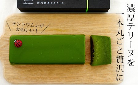 西尾抹茶のテリーヌ　濃厚抹茶スイーツ　テリーヌショコラ(500g)・A165
