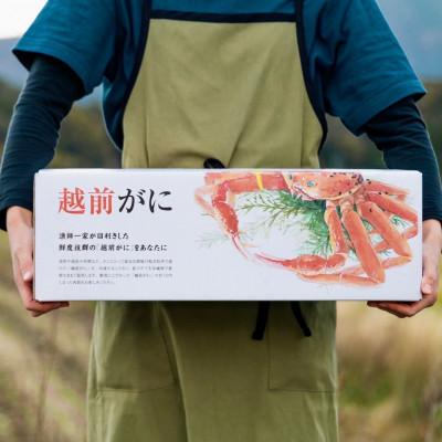 ふるさと納税 美浜町 【年末発送】《越前がに》大サイズ 約1kg |  | 01
