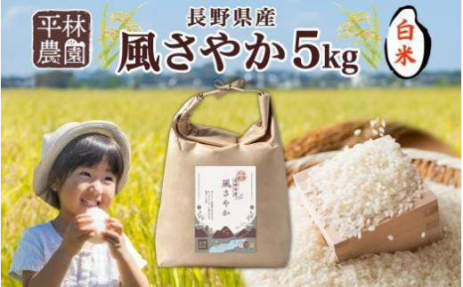 ＜先行予約＞令和7年産 風さやか 白米 5kg×1袋 長野県産 米 精米 お米 ごはん ライス 甘み 農家直送 産直 信州 人気 ギフト お取り寄せ 平林農園 送料無料 長野県 大町市