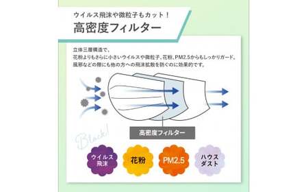 【定期便】シャープ製 不織布マスク ふつう サイズ 30枚入×3回 計90枚 | 日本製 国産 シャープ マスク マスク マスク マスク マスク マスク SH-0103