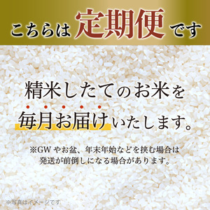 【定期便６回】 令和8年度産 新米 発送開始！ 特別栽培米 竹炭米 コシヒカリ 5kg×6回 30kg 白米