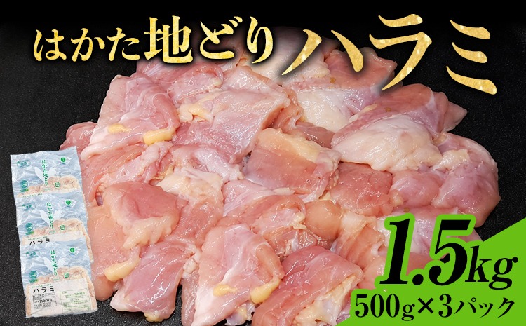 【ふるさと納税】はかた地どり ハラミ 1.5kg 500g×3パック 小分け 福岡県産 地鶏 鶏肉 冷凍 国産 はらみ とり肉 希少部位 チキン 炒め物 鉄板焼き 塩焼き 串焼き 焼き鳥 おつまみ 家飲み おうちごはん お取り寄せ グルメ ギフト