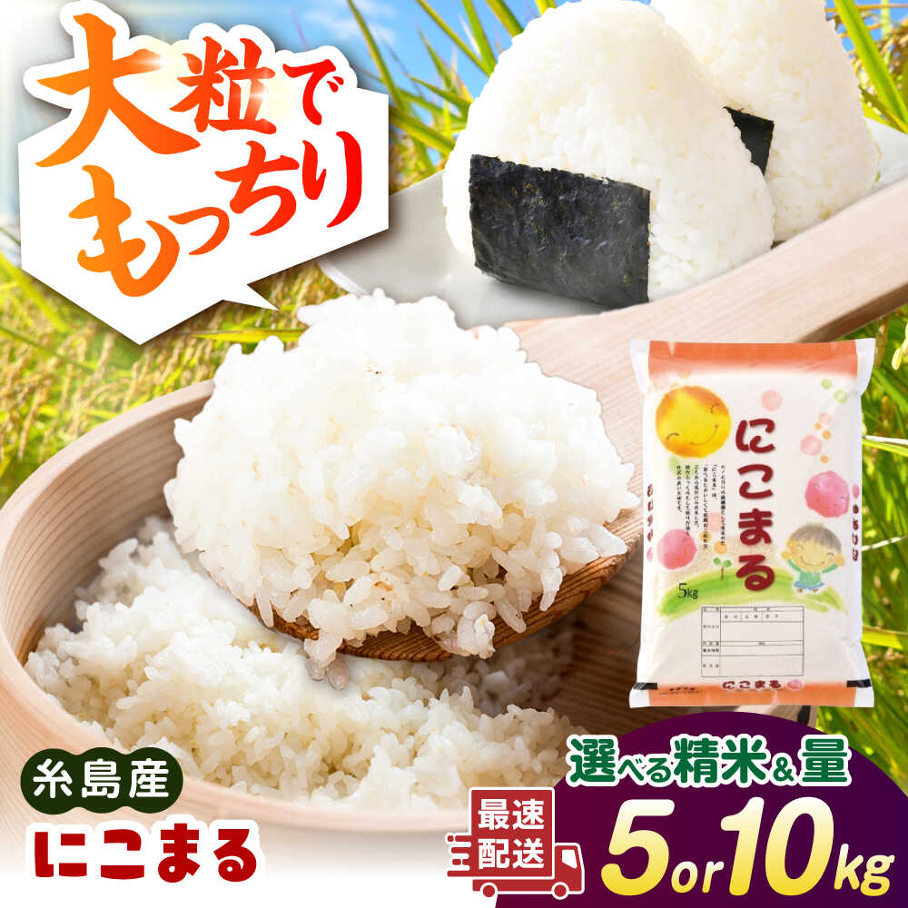 【ふるさと納税】【内容量・精米方法が選べる！】にこまる 5kg（5kg×1袋）/10kg（5kg×2袋） 糸島市 / 玄米・精米専門店 新飼宗一郎商店[ADE020] 白米 玄米 選べる内容量 常温 1万4千円14000円